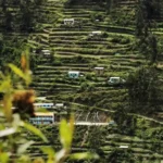 Los Andenes de Cuyocuyo - tecnología ancestral para conservar la biodiversidad en el altiplano peruano - lima times