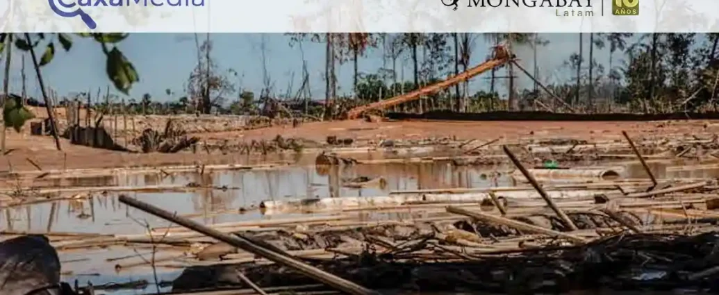 Aumentan pedidos de concesiones mineras en la selva peruana de Madre de Dios - caxamedia
