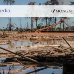 Aumentan pedidos de concesiones mineras en la selva peruana de Madre de Dios - caxamedia