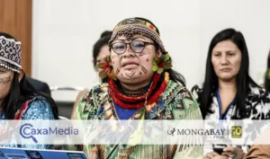 peru olivia bisa deibilidad protección líderes indígenas - caxamedia