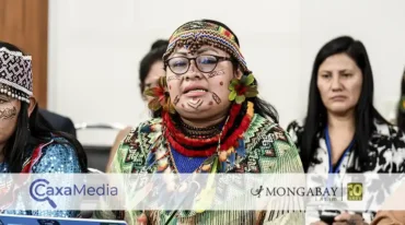 peru olivia bisa deibilidad protección líderes indígenas - caxamedia